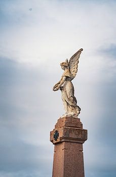 Wings of Remembrance