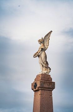 Ailes du Souvenir sur GIF STUDIO