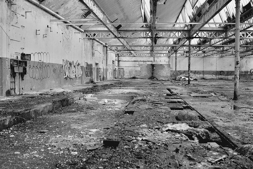 Aabefabriek Tilburg by Freddie de Roeck