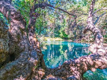 Schöner Blick auf den Kursunlu-Wasserfall zwischen den Bäumen von Nature Life Ambience