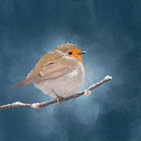 Roodborst in pastel