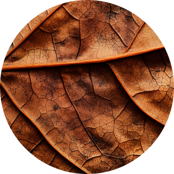 Verdorde bladeren van Poster Art Shop