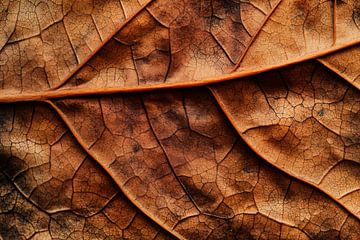 Withered leaves by Poster Art Shop