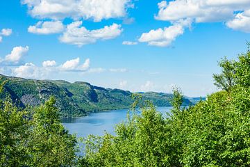 View to the Varangerfjord in Norway van Rico Ködder