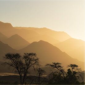 Goud gekleurd landschap in Namibië van Peter van Vuuren