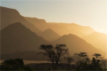 Gold-coloured landscape in Namibia