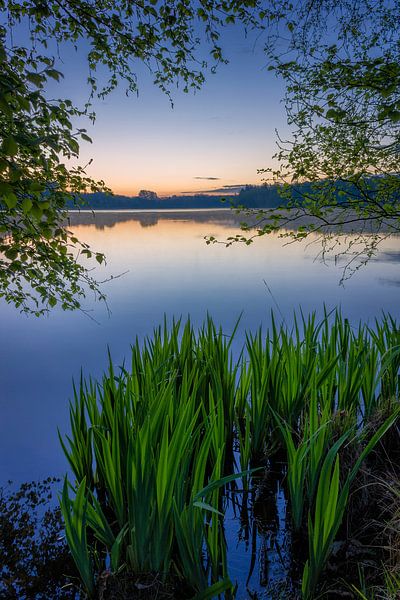 Lente Zonsopgang by Jurgen Cornelissen