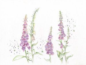 Digitalis in aquarel van Atelier DT