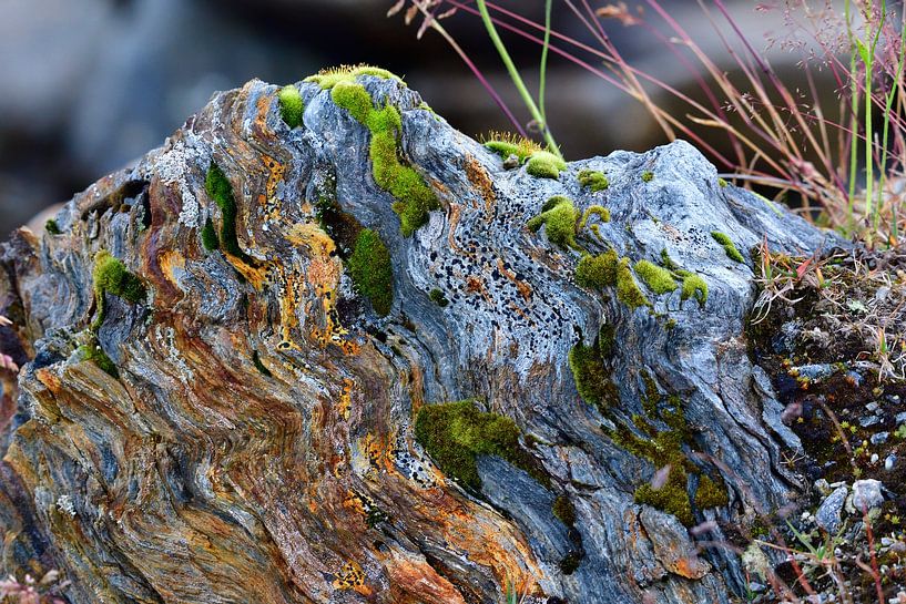 Felsen von Karin Jähne