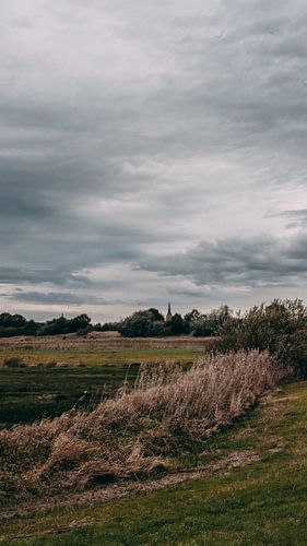À la merci des éléments
