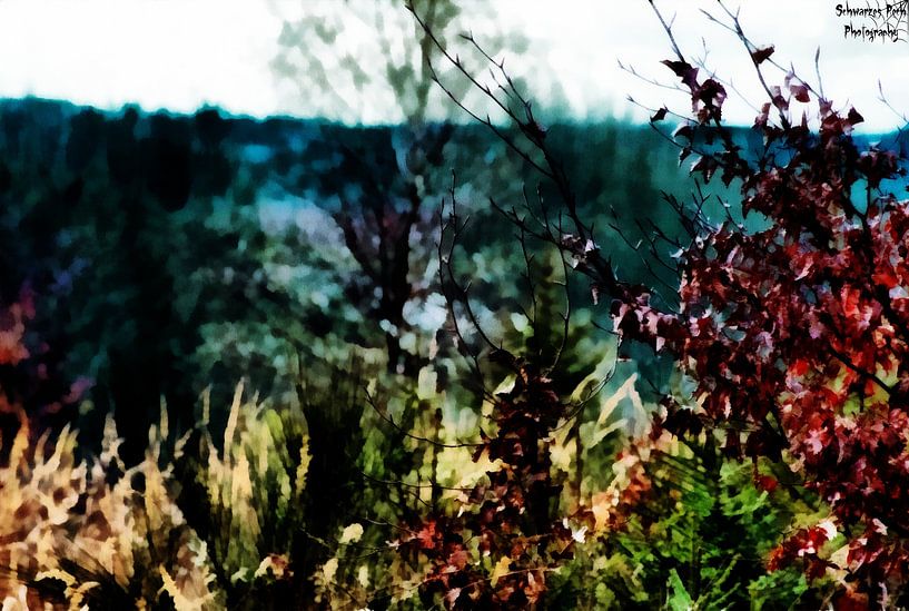 Colours by Schwarzes Pech Photography