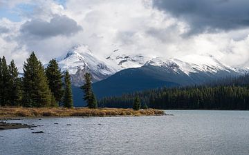 Prachtige kleuren bij Maligne Lake. van Samantha van Leeuwen