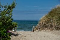 Beach access through the dunes to the Baltic Sea