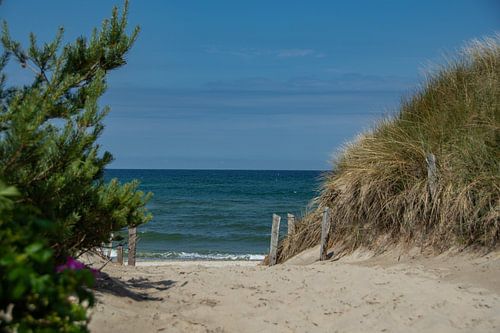 Toegang tot het strand door de duinen naar de Oostzee