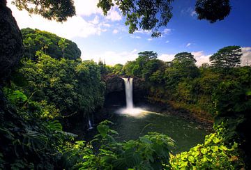 Rainbow Fall's  Hawaii van Leo Roest