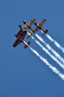 Redbull Wings air show GP Austria 2019