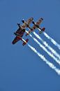 Redbull Wings air show GP Austria 2019 by Quint Wijnhoven thumbnail