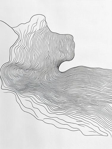 Motif abstrait en noir et blanc composé de lignes organiques fluides