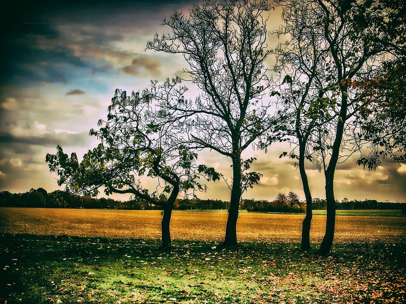 autumn von Reiner Borner