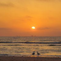 Beach, sea and sun