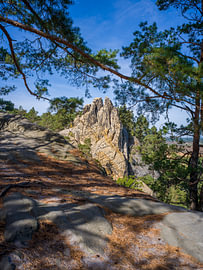 De Duivelsmuur in de Harz – het wapen van Hamburg