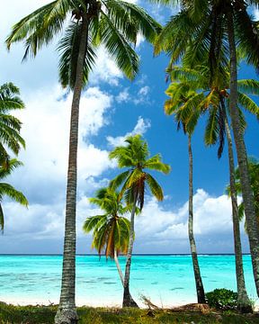 Amuri Beach, Aitutaki - Cook Islands sur Van Oostrum Photography