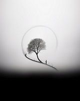 Esthetisch minimalisme