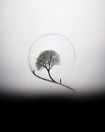 Aesthetic minimalism