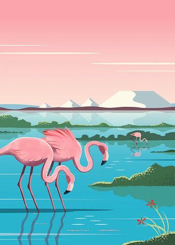 Flamingo's op Bonaire