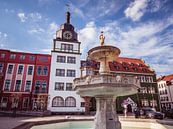Marktplatz von Rudolstadt in Thüringen von Animaflora PicsStock Miniaturansicht