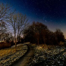 Winter starry sky Appingedam Opwierde by Johan van der Linde