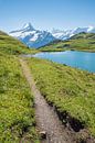 wandelpad rond de Bachalpsee met uitzicht op de Schreckhorn berg van SusaZoom thumbnail