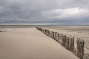 Déferlantes sur la plage d'Ameland