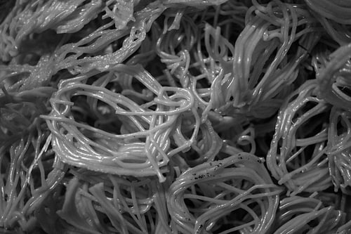 Curly Noodle Style Raw Crackers Texture Monochrome Close-Up
