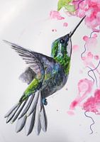 Kolibrie - Kunst Print van een bijzondere vogel illustratie