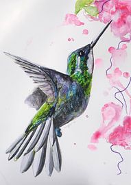Hummingbird - Art Print of a special bird illustration by Angela Peters
