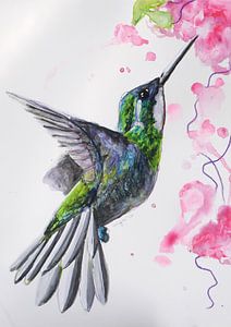Hummingbird - Kunstdruck einer speziellen Vogelillustration