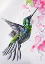 Kolibrie - Kunst Print van een bijzondere vogel illustratie van Angela Peters thumbnail