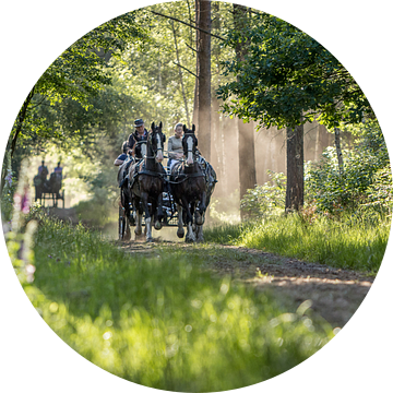 Paard en wagen in het bos van Anne-Marie Pannekoek