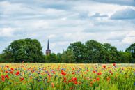 Hollands korenveld met klaprozen en korenbloemen in Brabant van Ron van der Stappen thumbnail
