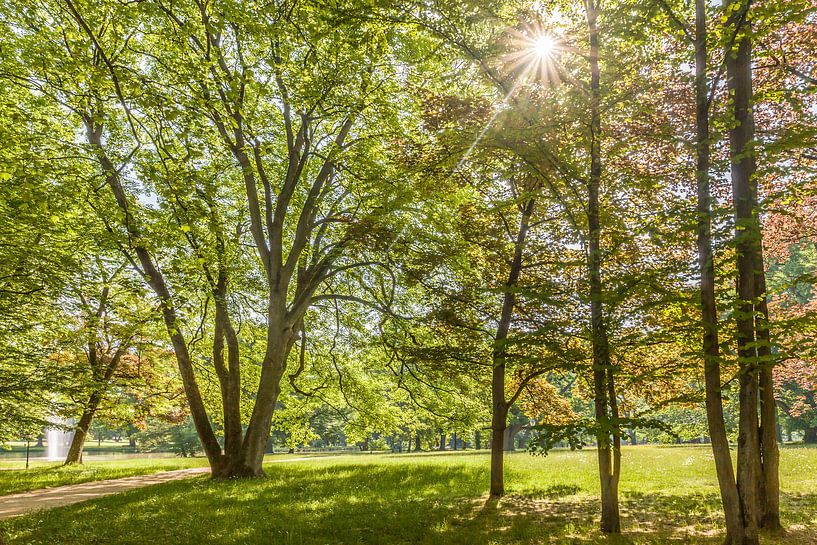 Frühsommer im Kurpark von Bad Homburg von Christian Müringer