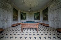 Pool room with beautiful paintings in an abandoned castle- urbex