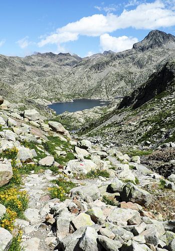 Pyreneeën, wilde Pyreneeën, bergen, wandelen, natuur, wildernis, outdoor, bergen, Frankrijk, Spanje, berglandschap, landschapsfotografie, natuurfotografie, muurschildering bergen, canvas print natuur, fine art print, natuurfoto, avontuur, natuurparadijs, wanderlust, bergwandelen, top, bergpanorama, natuurkunst, bergliefde, vrijheid, wanderlust, berglandschap, wanderlust, fotokunst, outdoor fotografie, Alpengebied