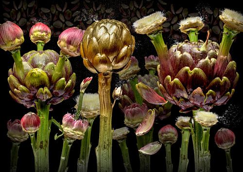 L’art pour l’artichaut