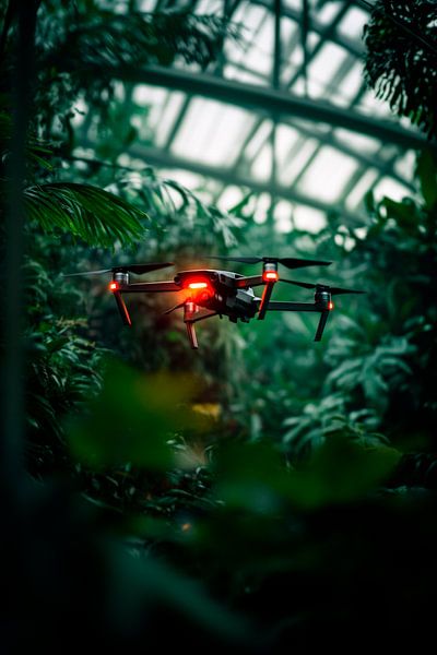 Drohne fliegt durch tropischen Garten von Poster Art Shop