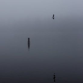 Dichte mist over de Rijkerswoerdse Plassen.  van Robert Wiggers