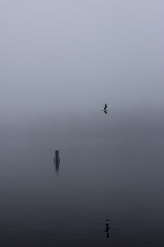 Dichte mist over de Rijkerswoerdse Plassen. 