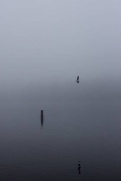 Dichte mist over de Rijkerswoerdse Plassen.  van Robert Wiggers