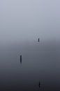 Dichte mist over de Rijkerswoerdse Plassen.  van Robert Wiggers thumbnail