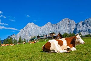Almromantik auf der Walcheralm